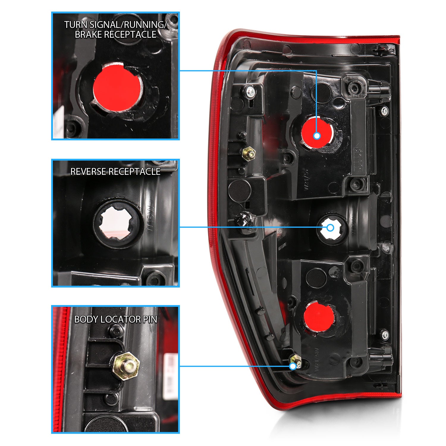 FORD F-150 09-14 TAIL LIGHTS RED/CLEAR (W/O BULB)